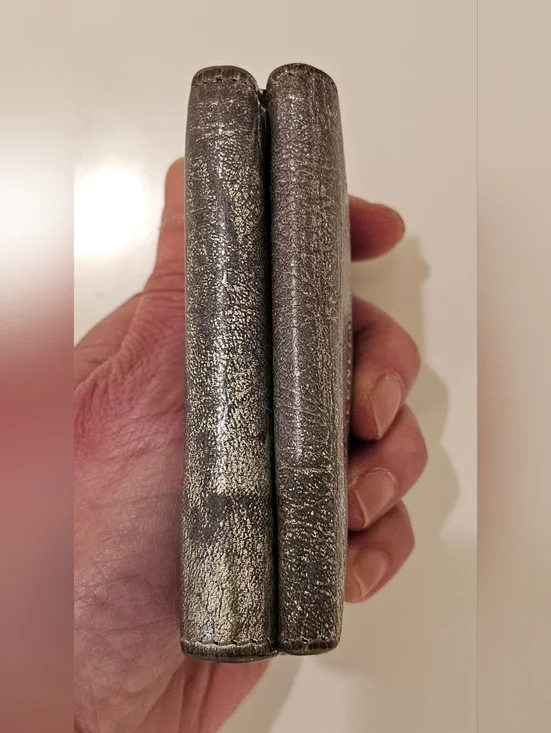 BALENCIAGA Silver Crinkle Trifold Compact Wallet - Picture 6 of 11